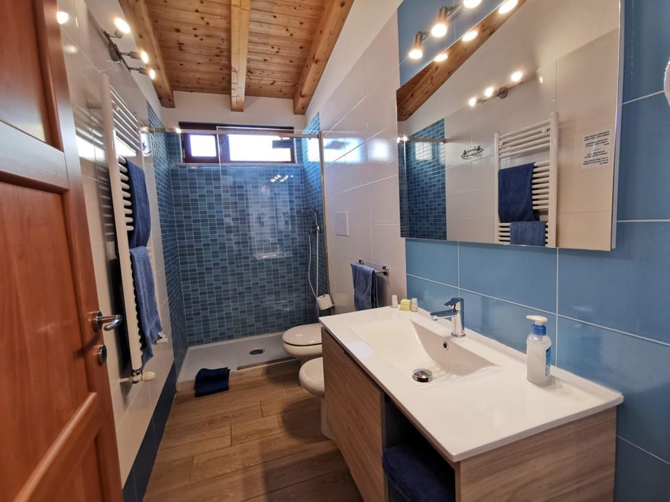 Hair dryer, bidet, towels