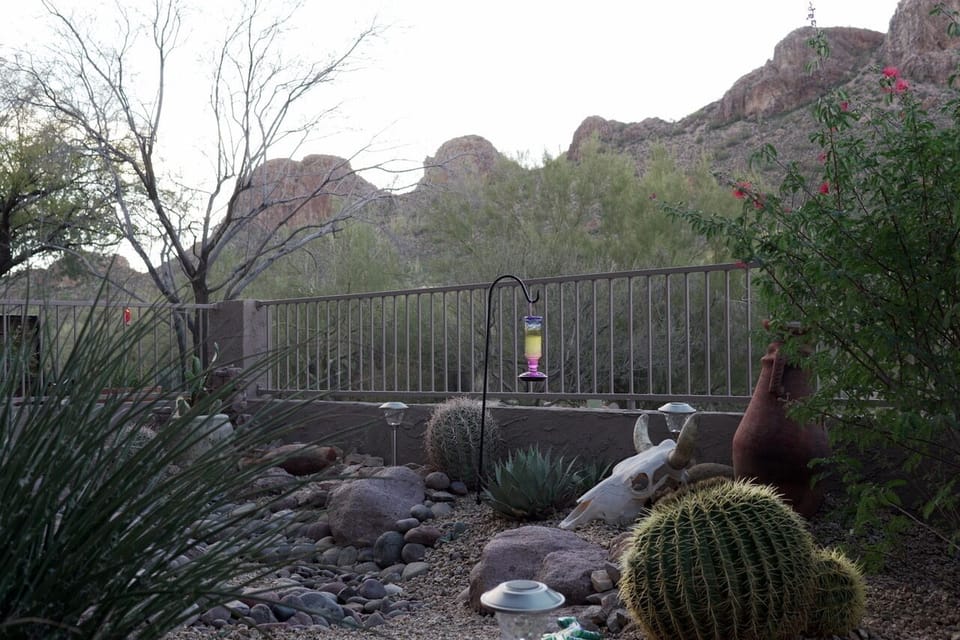 Back Patio