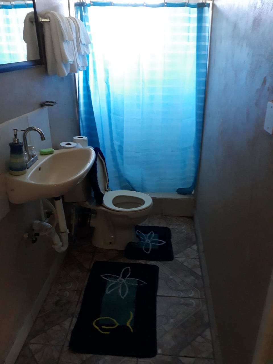 Basic Apartment, 1 Double Bed | Bathroom | Shower, free toiletries, hair dryer, soap