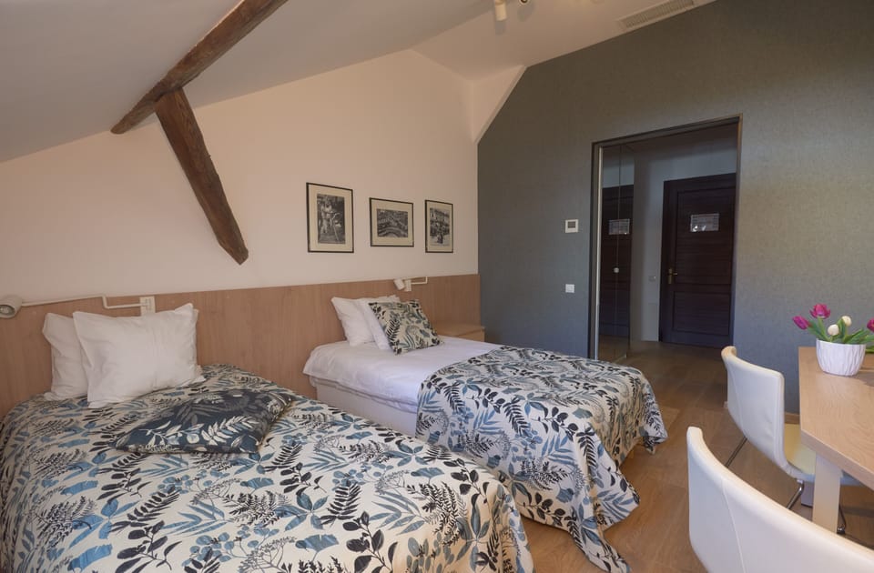 Classic Double Room, 2 Twin Beds | Desk, laptop workspace, soundproofing, free WiFi