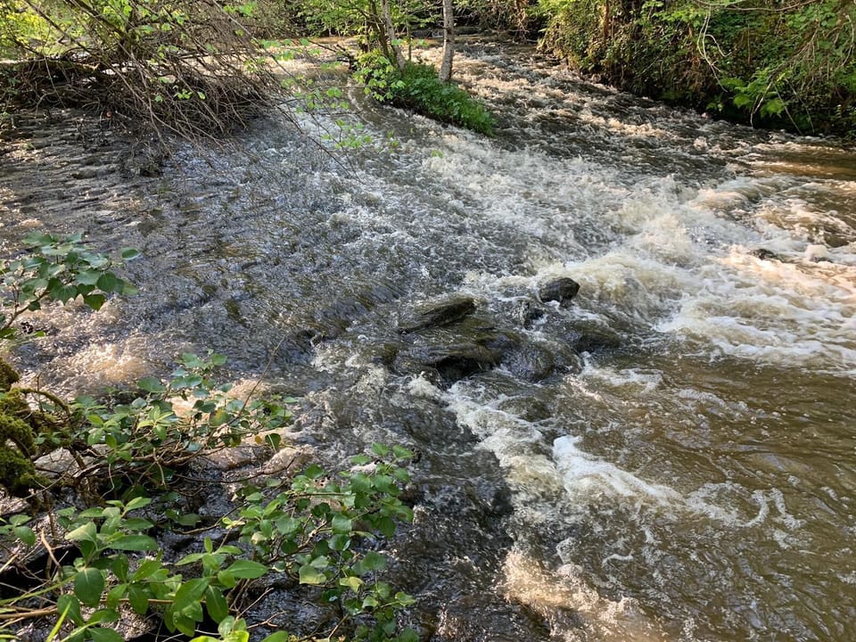 Trout fishing in spring 