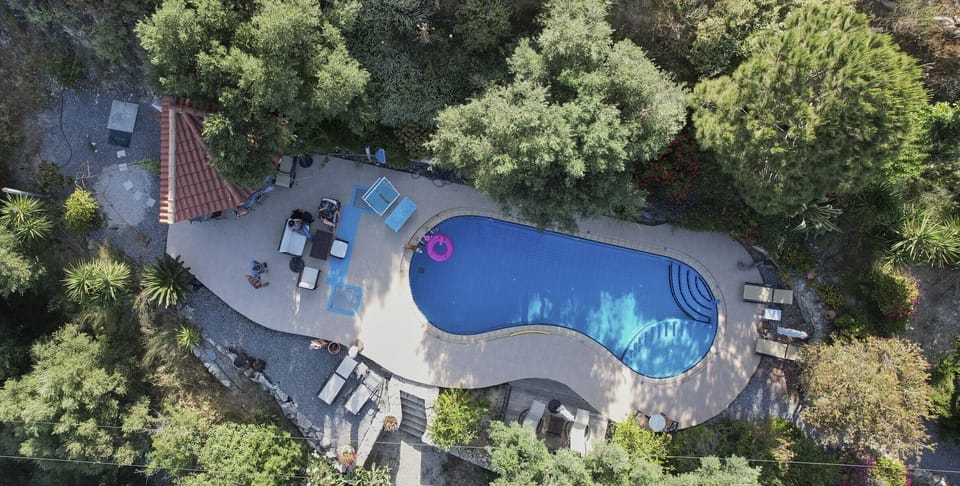 Pool in green oasis
