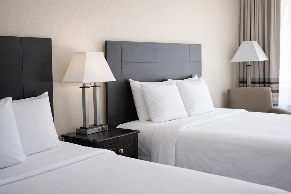 Desk, blackout drapes, soundproofing, iron/ironing board