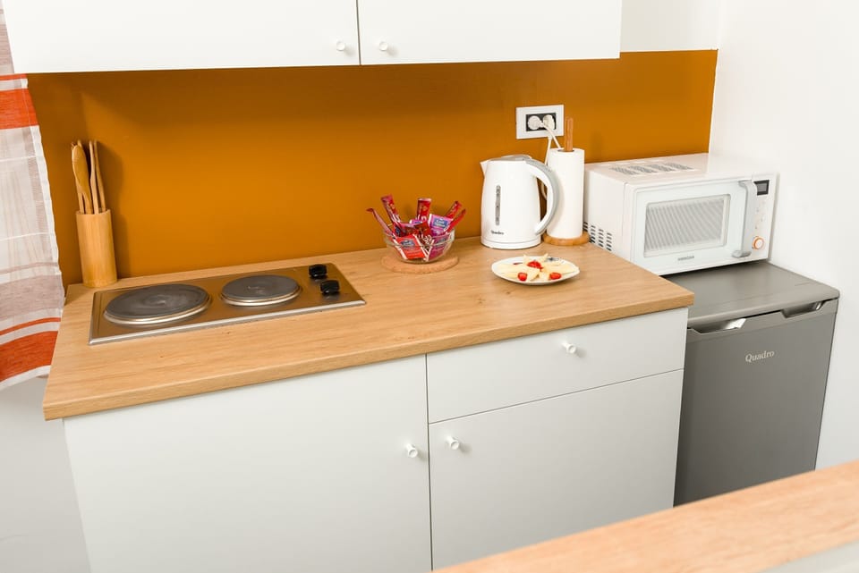 Apartment | Private kitchenette | Fridge, microwave, stovetop, electric kettle