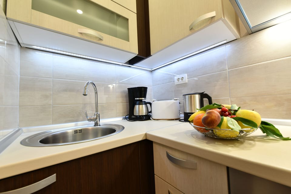 Superior Apartment  (Studio 2) | Private kitchen | Stovetop, blender, griddle, eco-friendly cleaning products