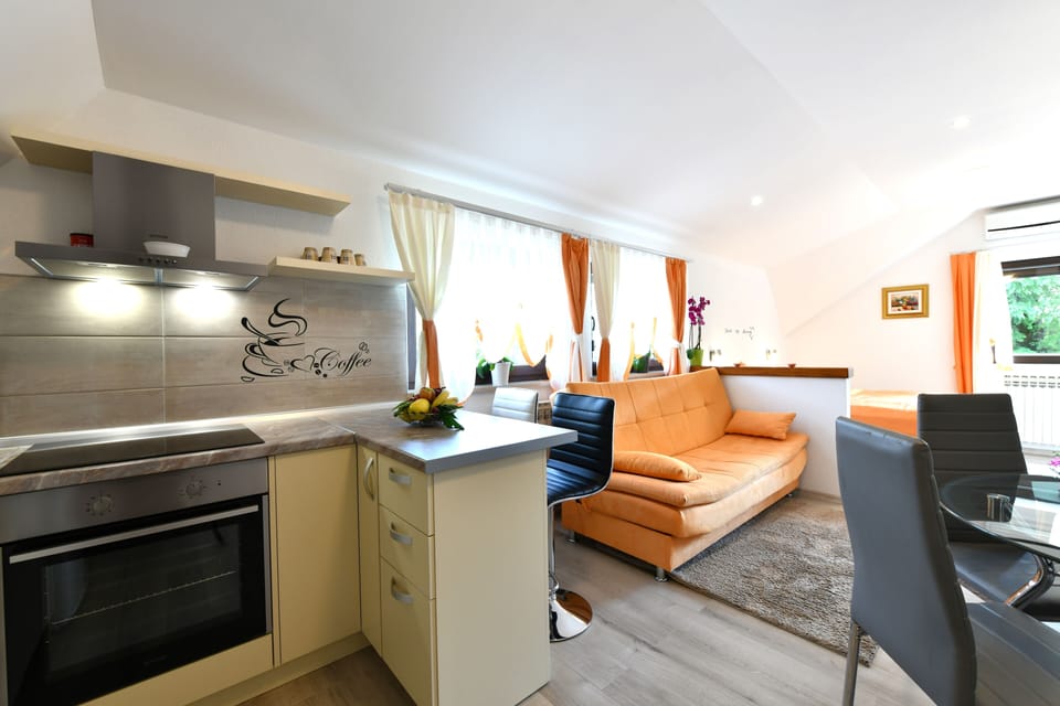 Deluxe Apartment (Studio 1) | Private kitchen | Stovetop, blender, griddle, eco-friendly cleaning products