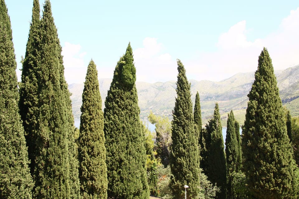 Standard Apartment, 1 Bedroom, Balcony, Partial Sea View | View from property