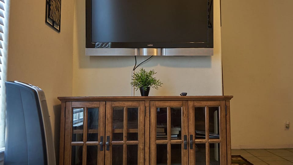 Big Screen flat TV in the living room