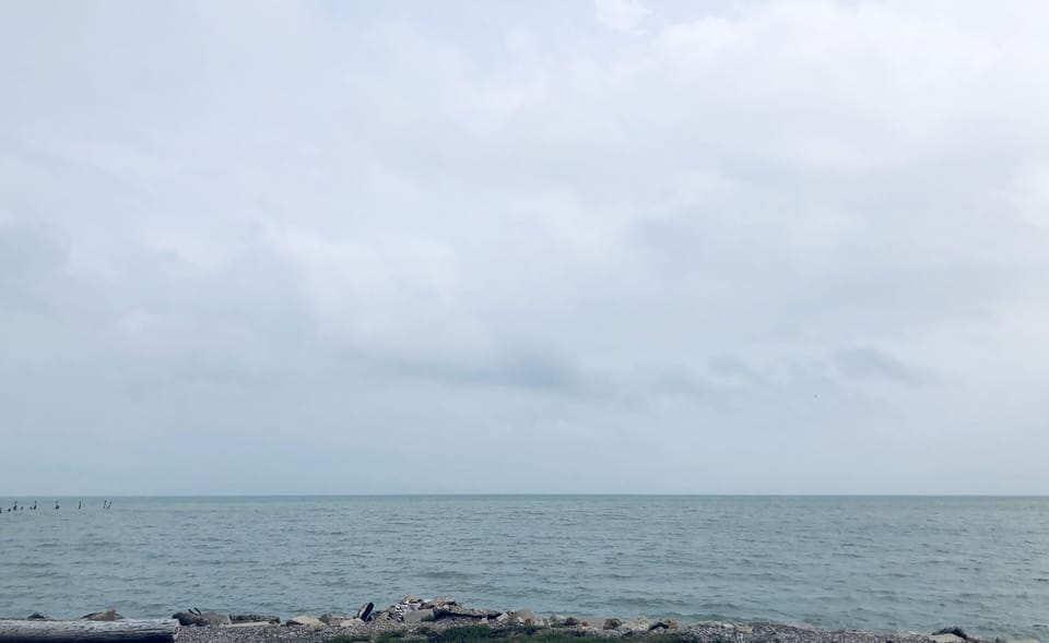 Oso Bay is a 4 min drive from condo.