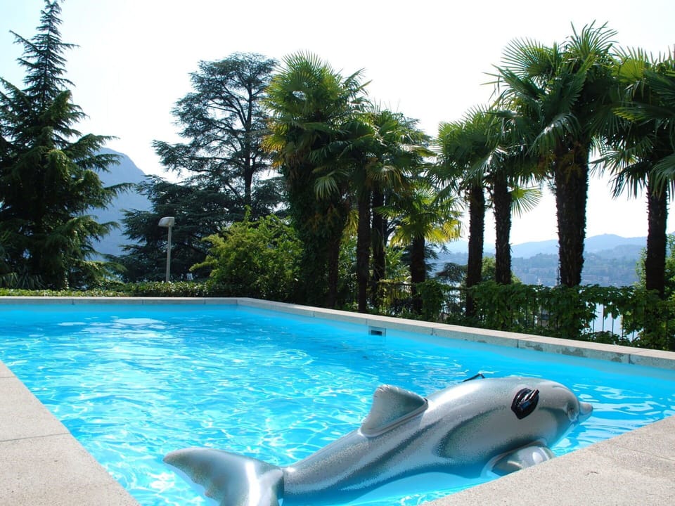 Swimming Pool, Leisure, Vacation, Water, Summer, Tree, Resort, Real Estate
