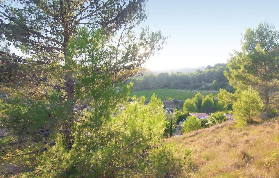 area