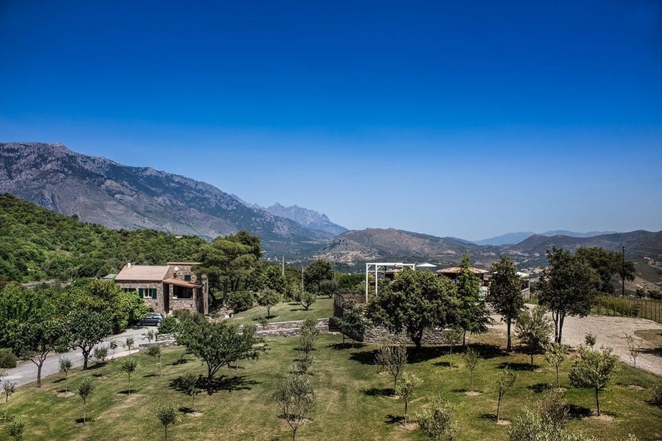 Land view from property
