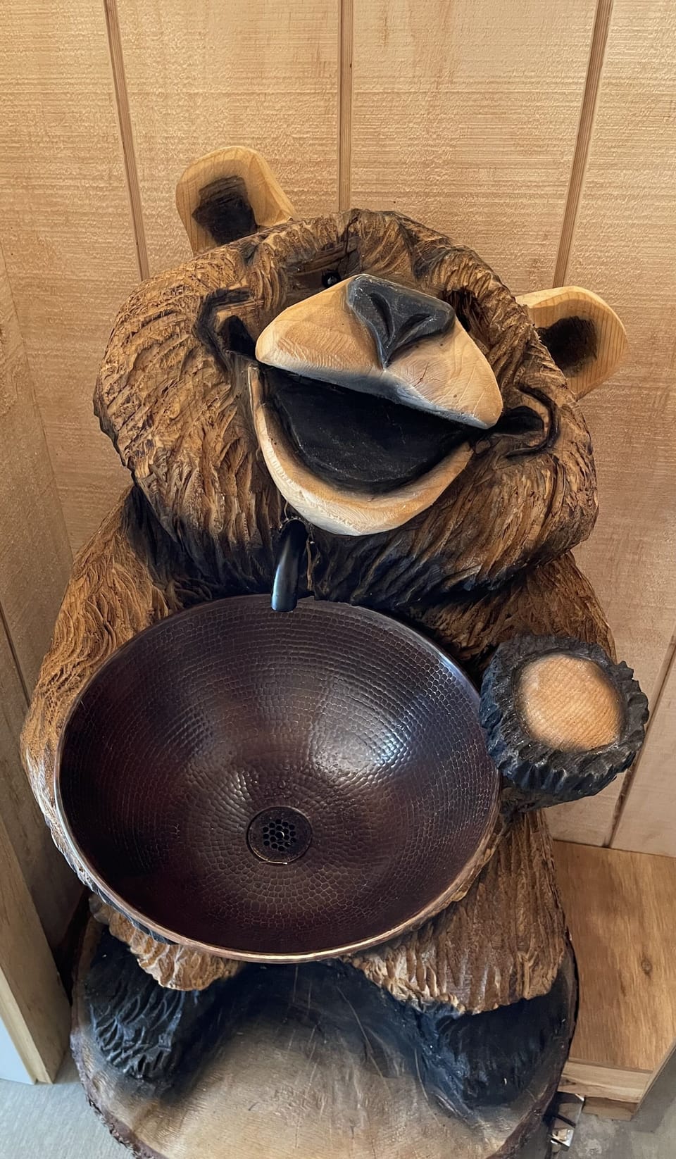 Cool bear sink in pool house!