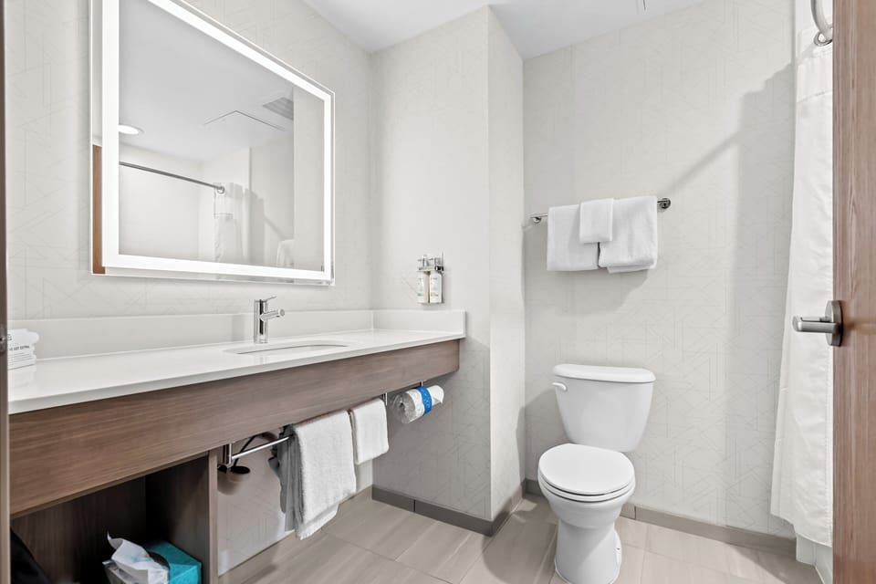 Bathtub, hair dryer, towels