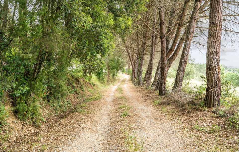 outside