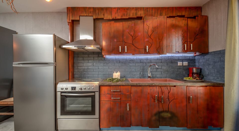 Deluxe Apartment, Ground Floor | Private kitchen | Full-size fridge, oven, stovetop, coffee/tea maker