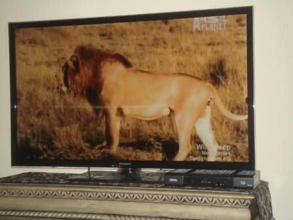 Large screen TV