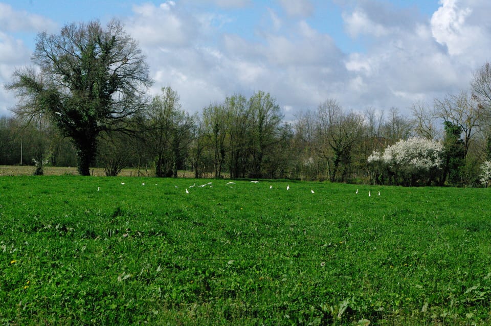 The gite from the main house.