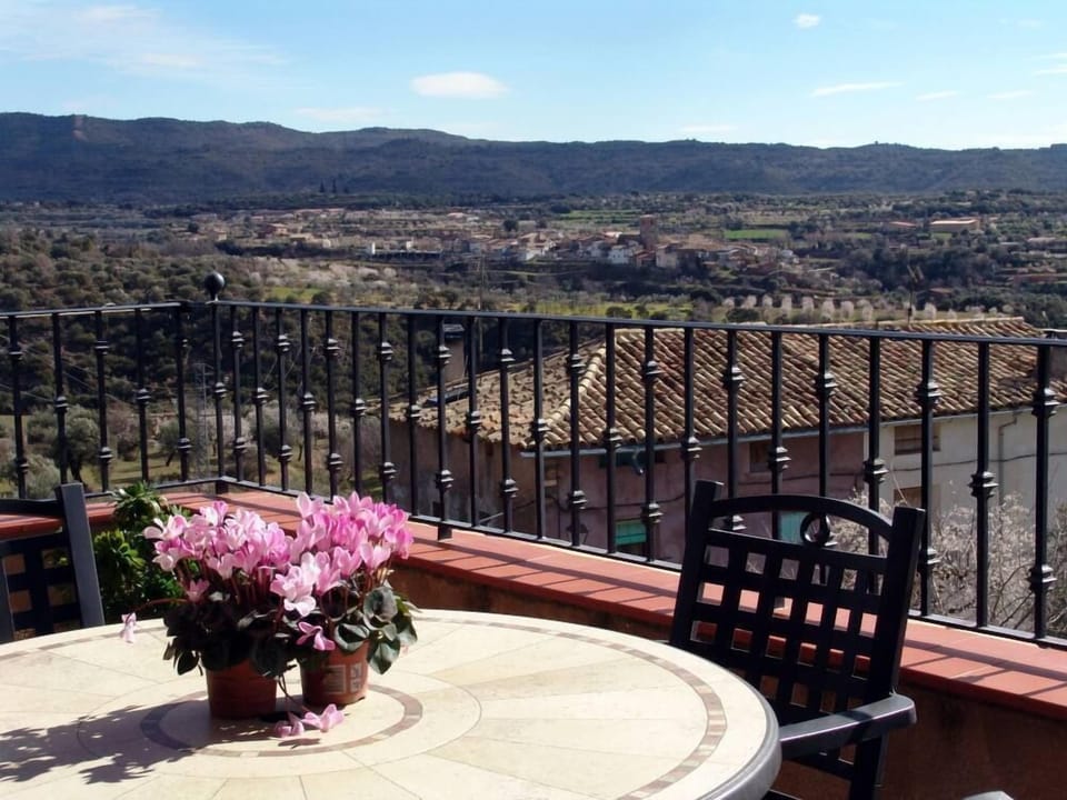 Terrace / Balcony