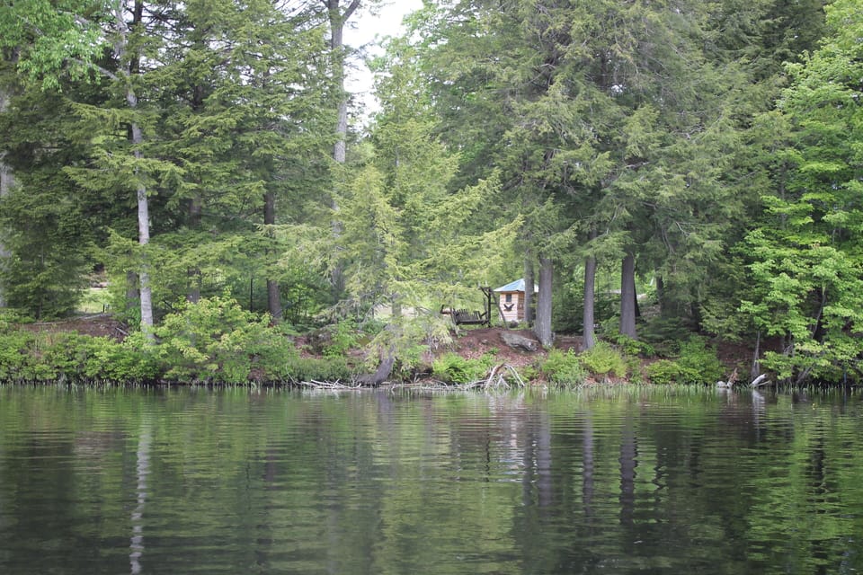 a view from the pond, including rustic swing