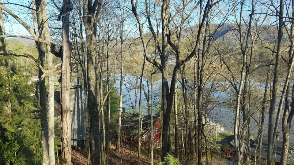 View From Deck