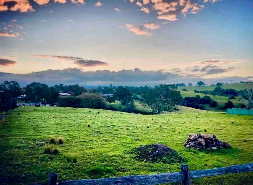 The view at the end of our driveway