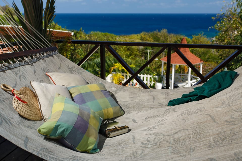 Hammock with a view 