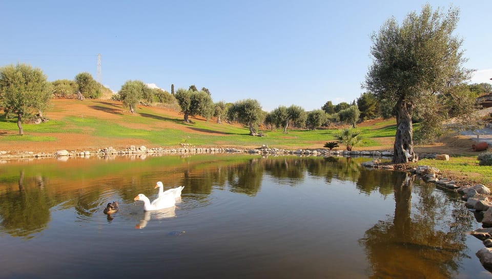 Lake