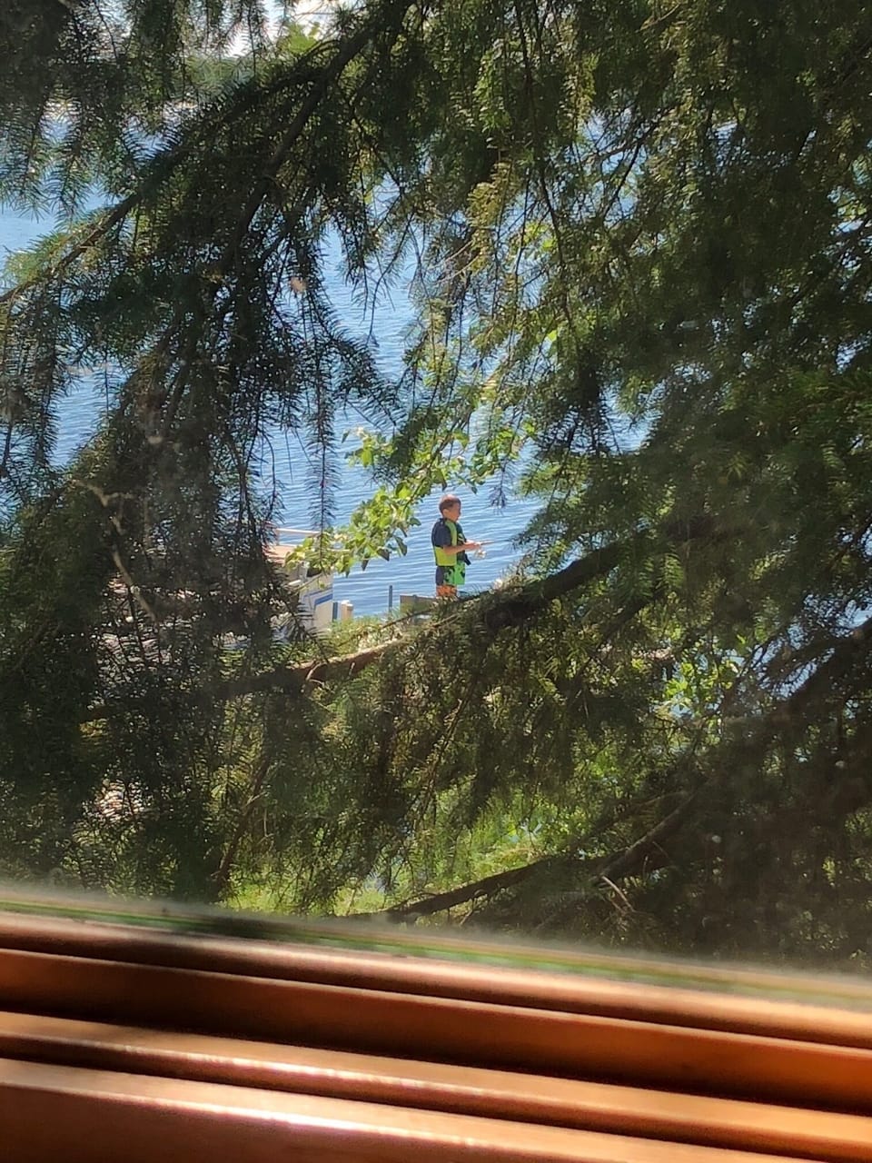 View from property