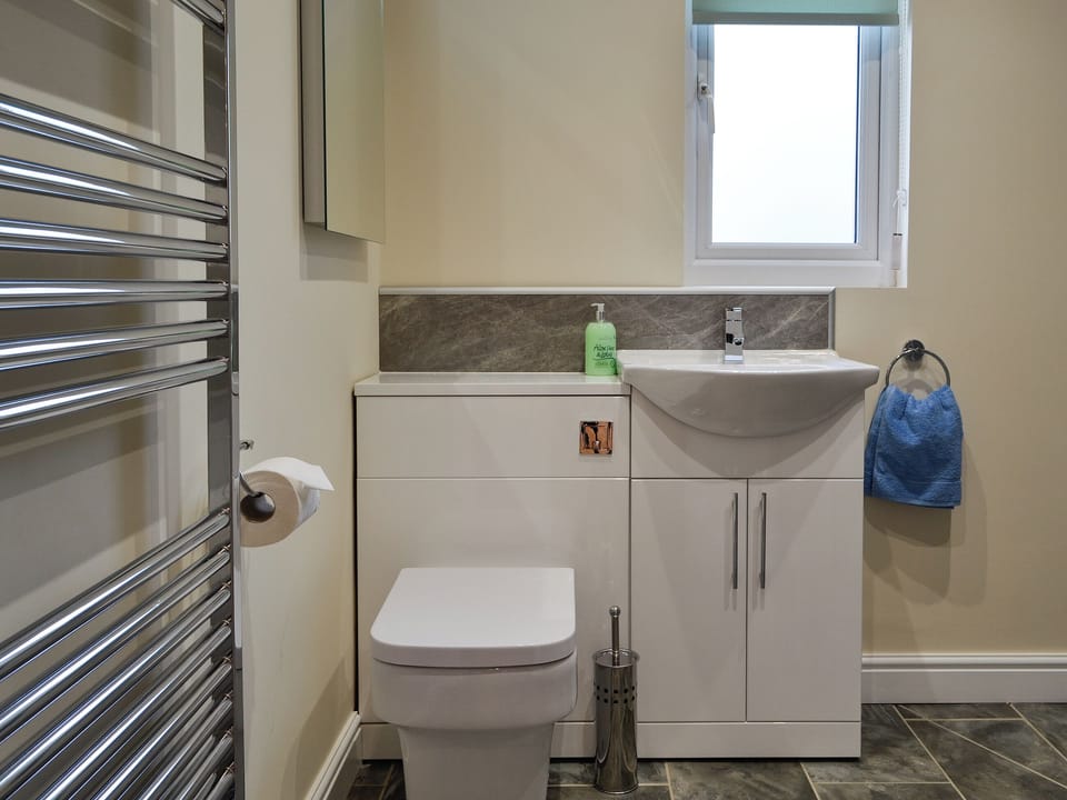 Shower room | Bluebell Lodge - The Lodges, Howey, near Llandrindod Wells