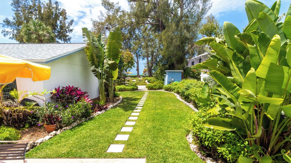 View to the beach from your private sun patio