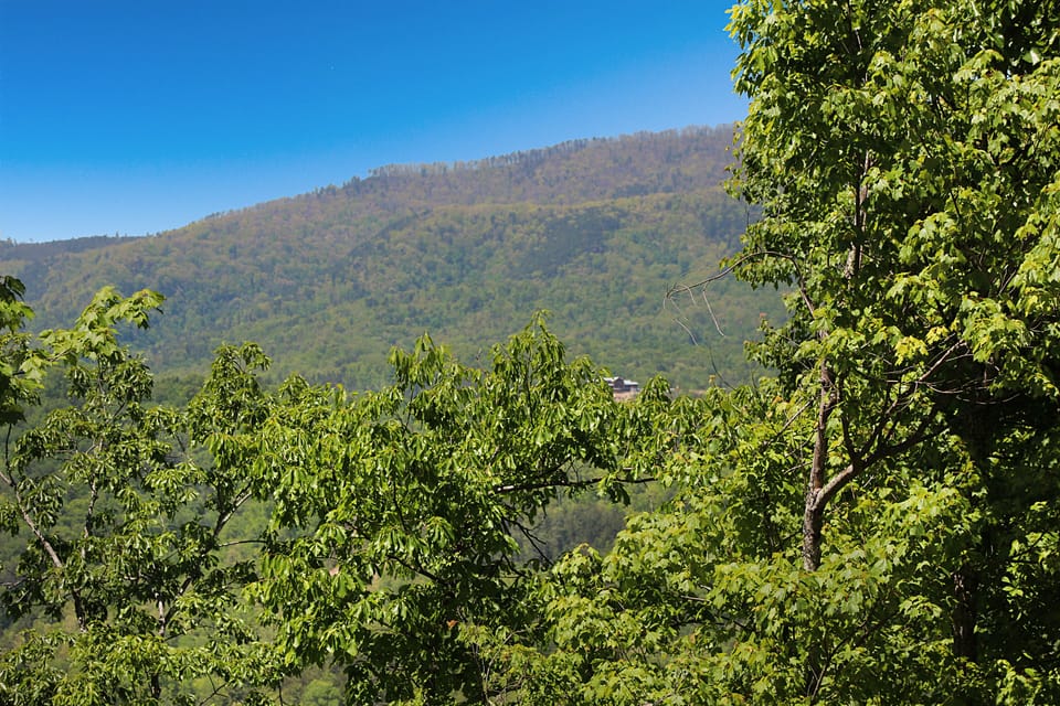 Smoky Mountain Cabin with a Hot Tub "Pleasant View" - Mountain Views