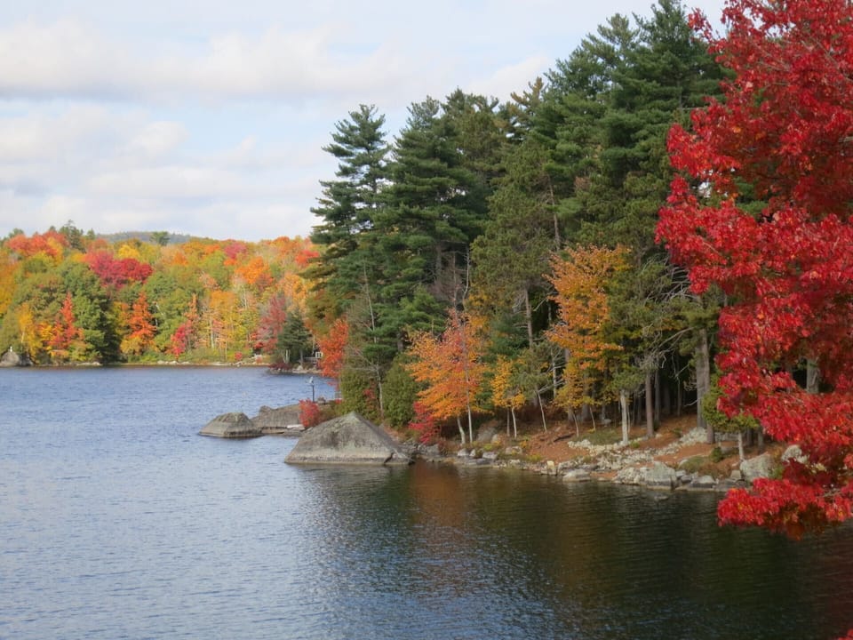 Outstanding fall foliage