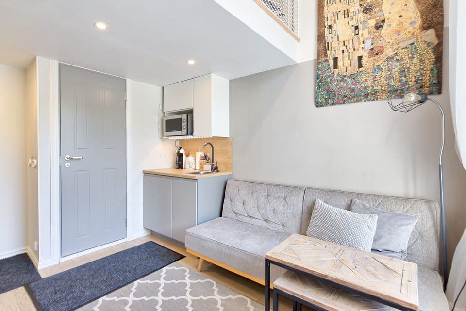 Smart layout: kitchenette + bathroom under loft, living area stays open.