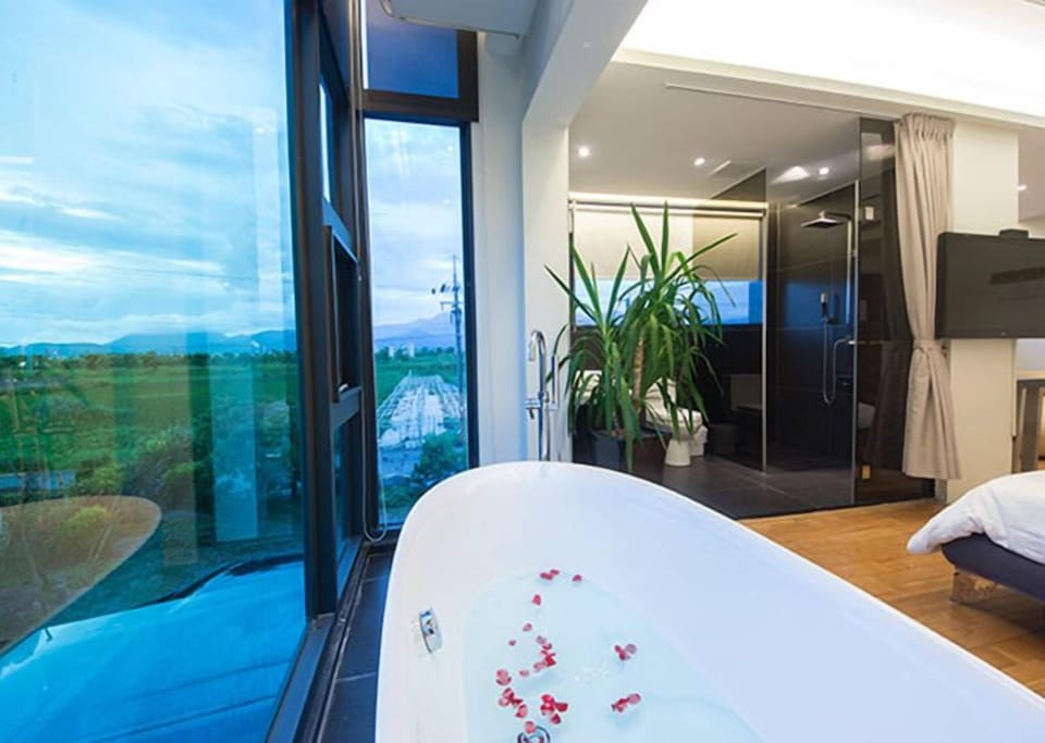 Shower, free toiletries, hair dryer, slippers