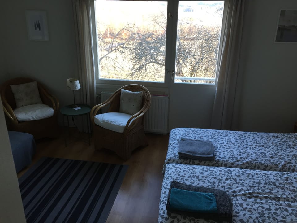 Apartment, Lake View (4) | Living area