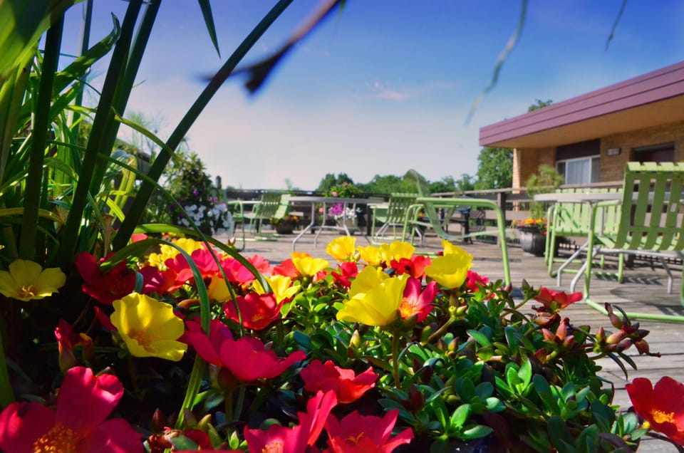 Sundeck