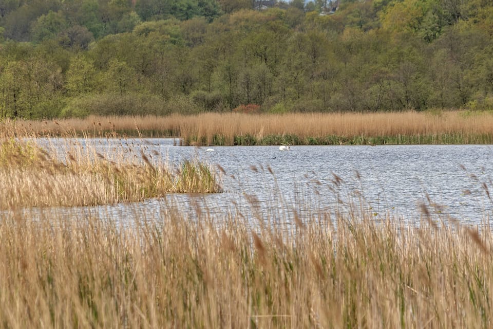 Comfort Apartment, Multiple Beds, Lake View | Garden view