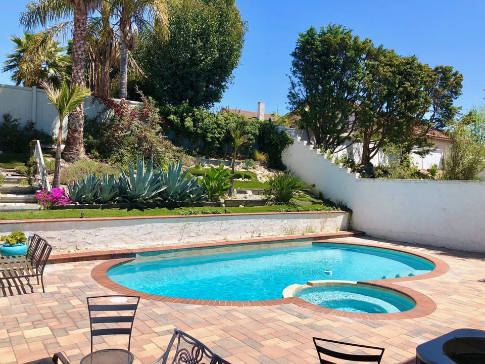 Back Yard / Pool