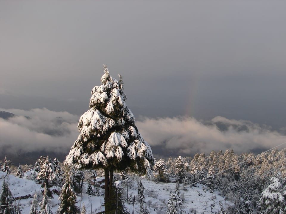 View from property