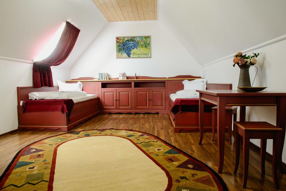 Vila Dintre Vii Villa in Romania