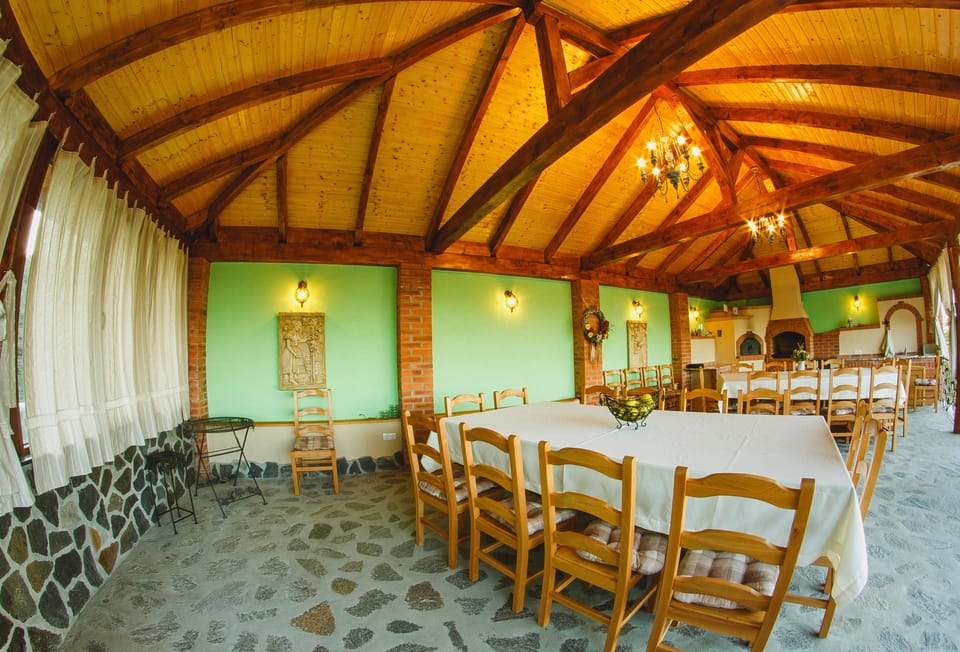 Vila Dintre Vii Villa in Romania