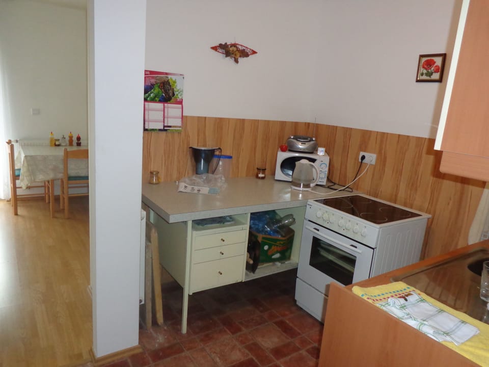 Economy Apartment, Balcony | Private kitchenette | Electric kettle, freezer