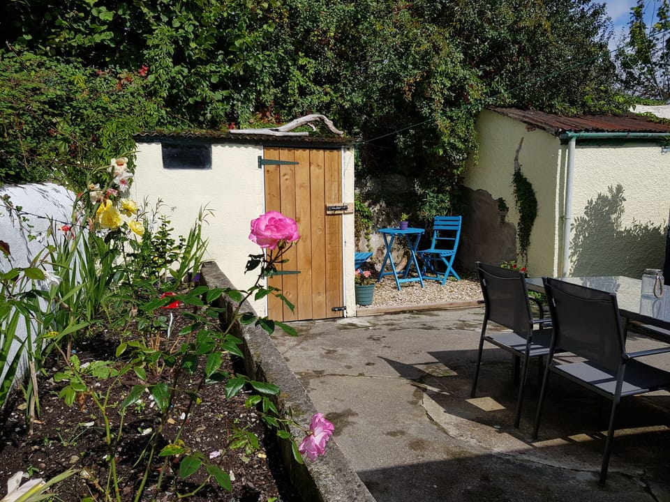 Back Garden