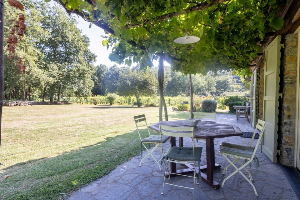 Imagine having breakfast overlooking the vineyard.