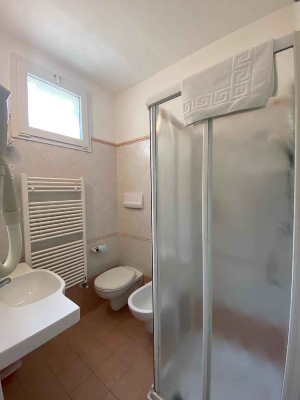 Shower, hair dryer, bidet