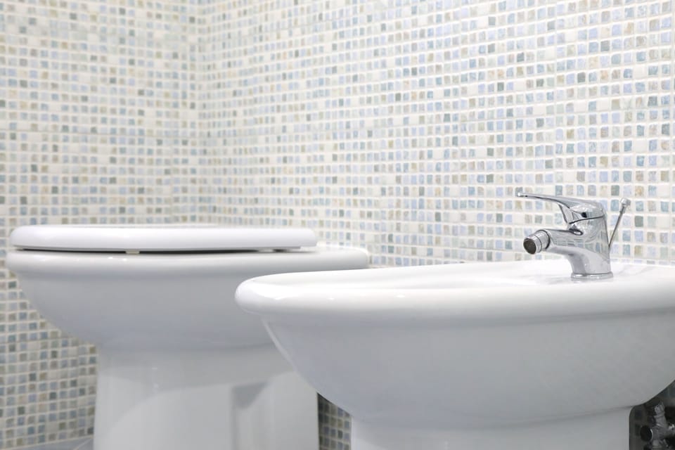 Deluxe Triple Room | Bathroom | Shower, rainfall showerhead, free toiletries, hair dryer
