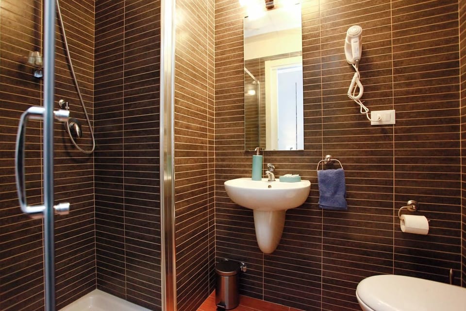 Shower, hair dryer, bidet, towels
