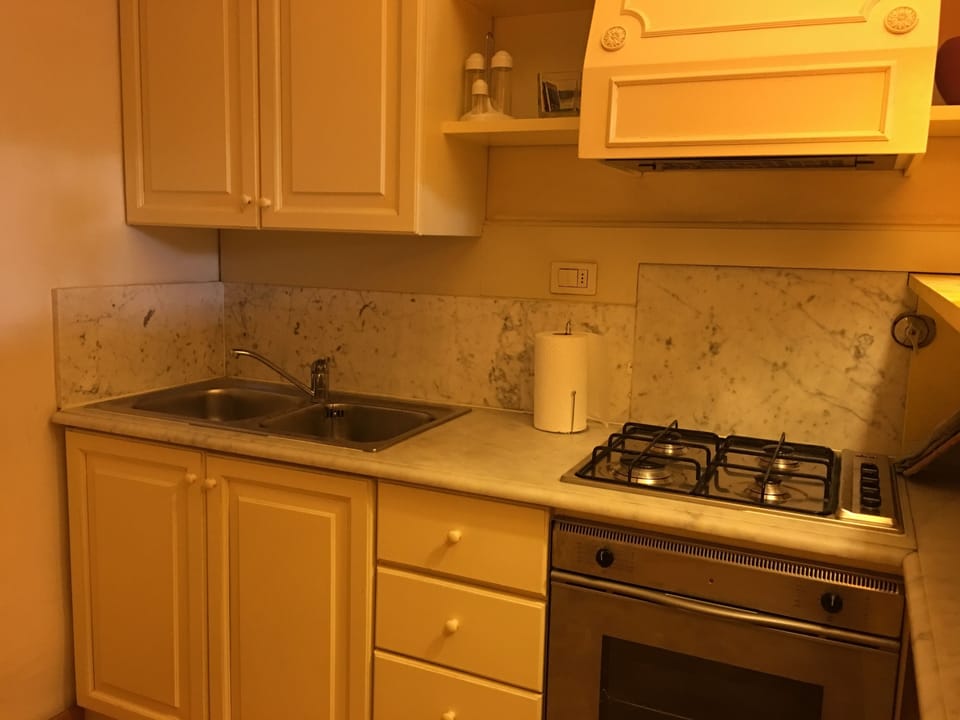 Apartment, 3 Bedrooms, City View | Private kitchen | Full-size fridge, oven, stovetop, espresso maker