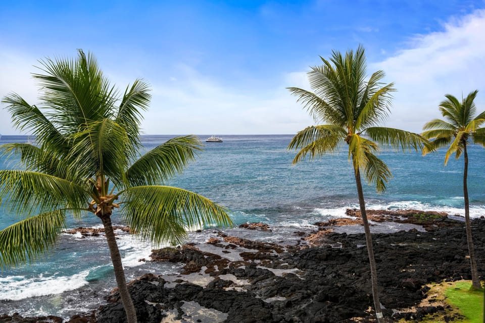 Condo, 1 King Bed with Sofa bed (Kona Reef D32) | Beach | On the beach